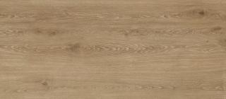 Honey Wood beige STR 274,8x119,8